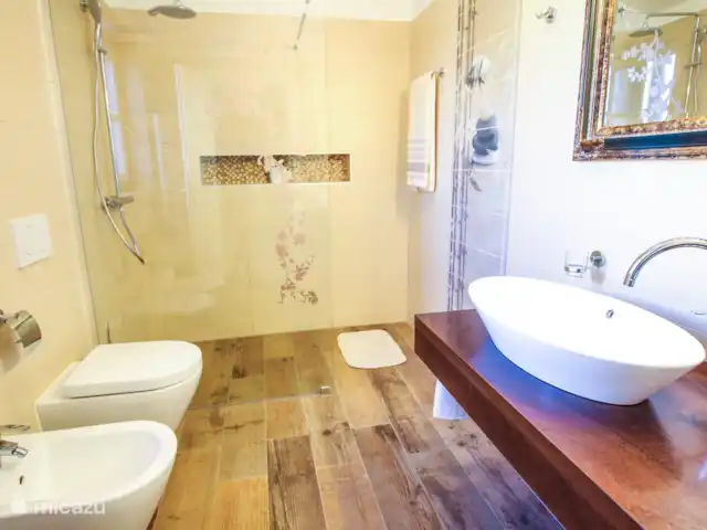 Villa Elizabet en Croacia, Istria, Kastelir-Labinci - villa baño