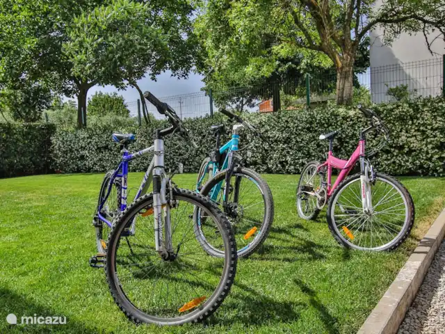 Villa Elizabet en Croacia, Istria, Kastelir-Labinci - villa Bicicletas de montaña