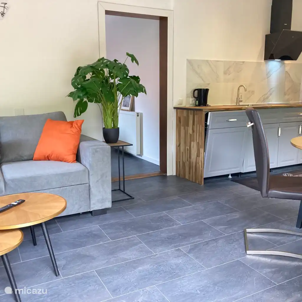 Appartement balkon, 1 slaapkamer #25
