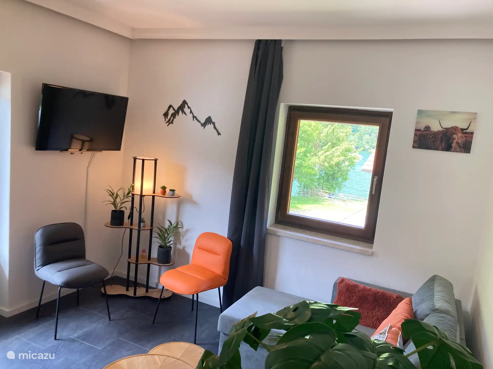 Wohnzimmer, TV, Aussicht, Schlafsofa