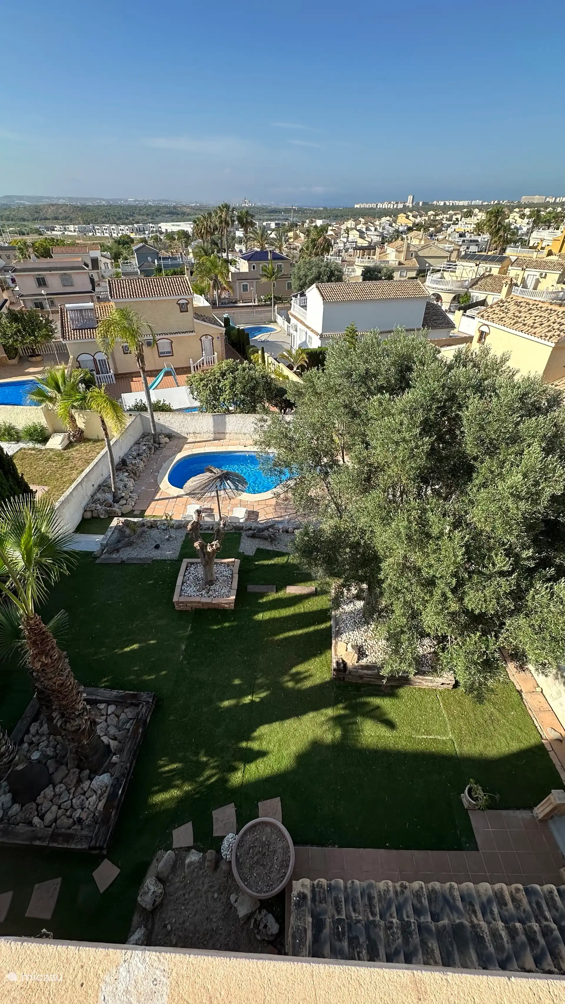 The garden