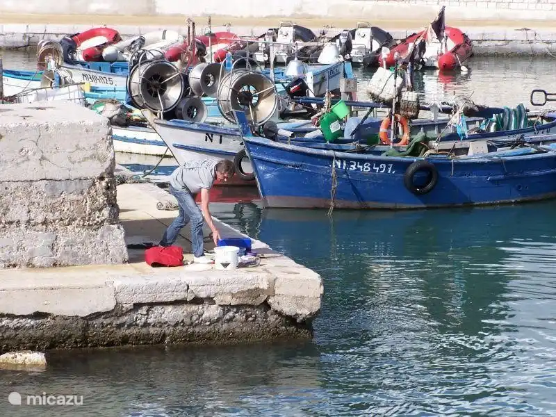 ¿Conseguir pescado fresco?