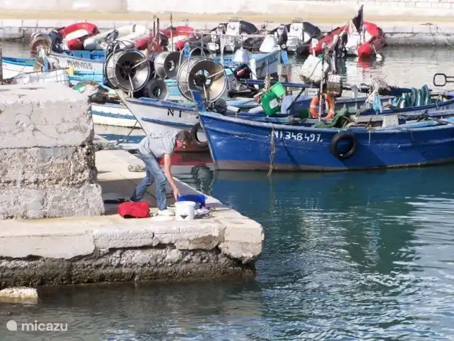 Location de Vacances France, Côte d'Azur, Cagnes-sur-Mer, appartement -  Parc des Vespins Charme Réservé aux adultes Obtenir du poisson frais ?