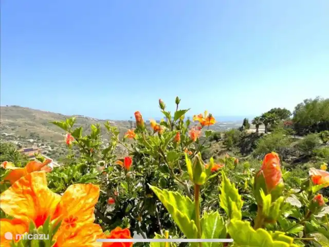 Casa La Fuente huren in Spanje, Andalusië, Arenas - villa tuin