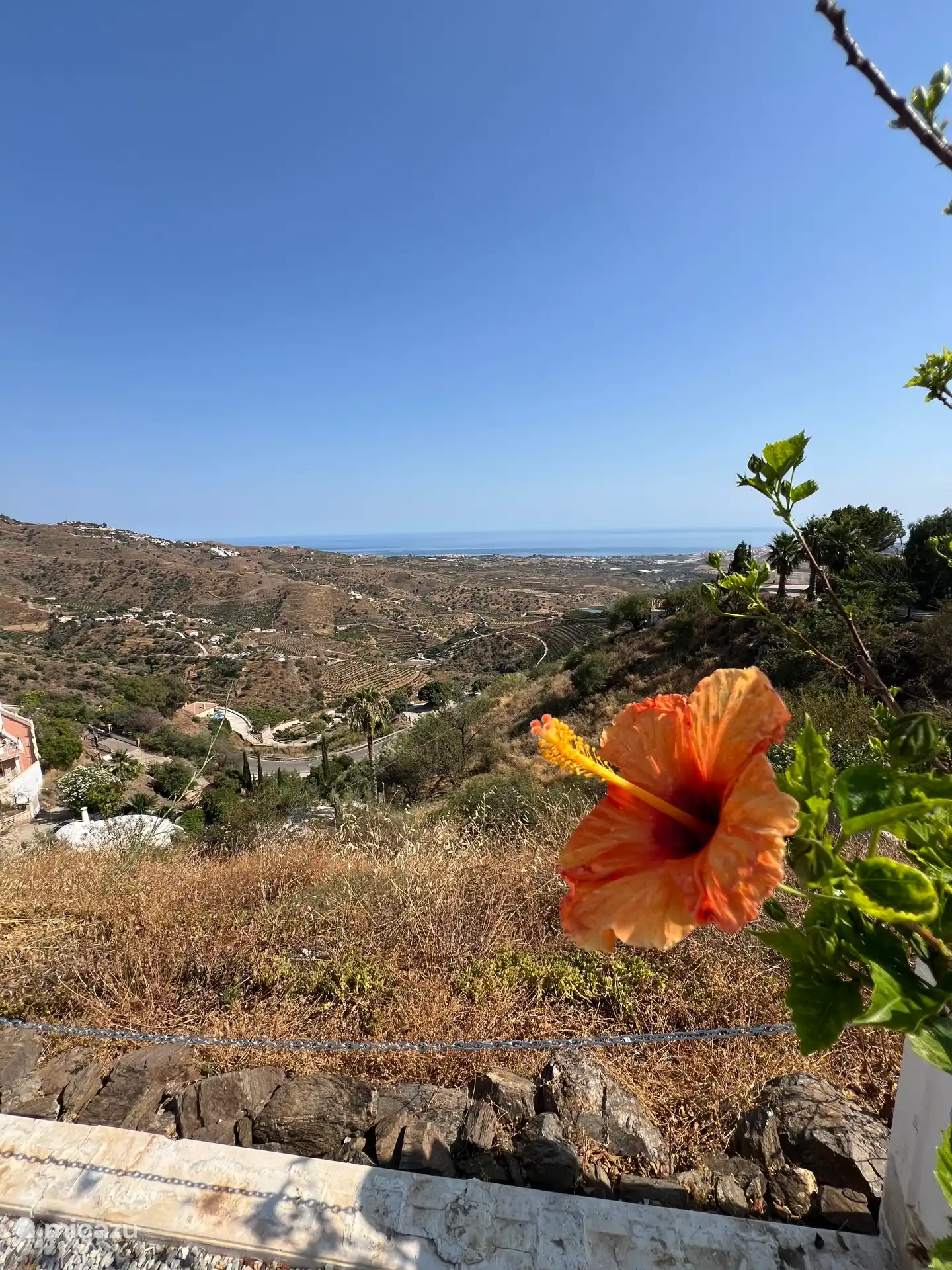 Garten- und Meerblick 
