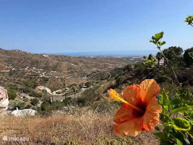 Casa La Fuente huren in Spanje, Andalusië, Arenas - villa Tuin en uitzicht op zee