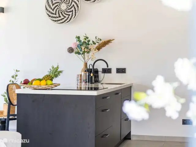 apartamento en Curazao, Banda Arriba (este), Jan Thiel – Penthouse Sunny Palm Curazao Cocina de impresión