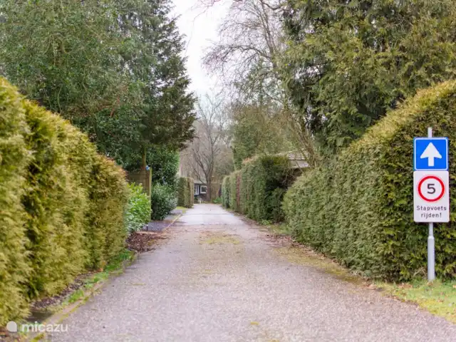 Chalet Birdsong | Pays-Bas, Gueldre, Wells - chalet La rue menant au chalet