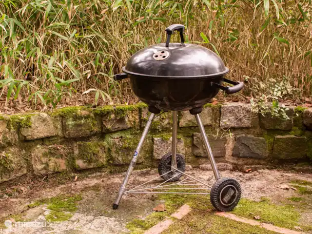 Chalet Birdsong | Pays-Bas, Gueldre, Wells - chalet Le bbq.