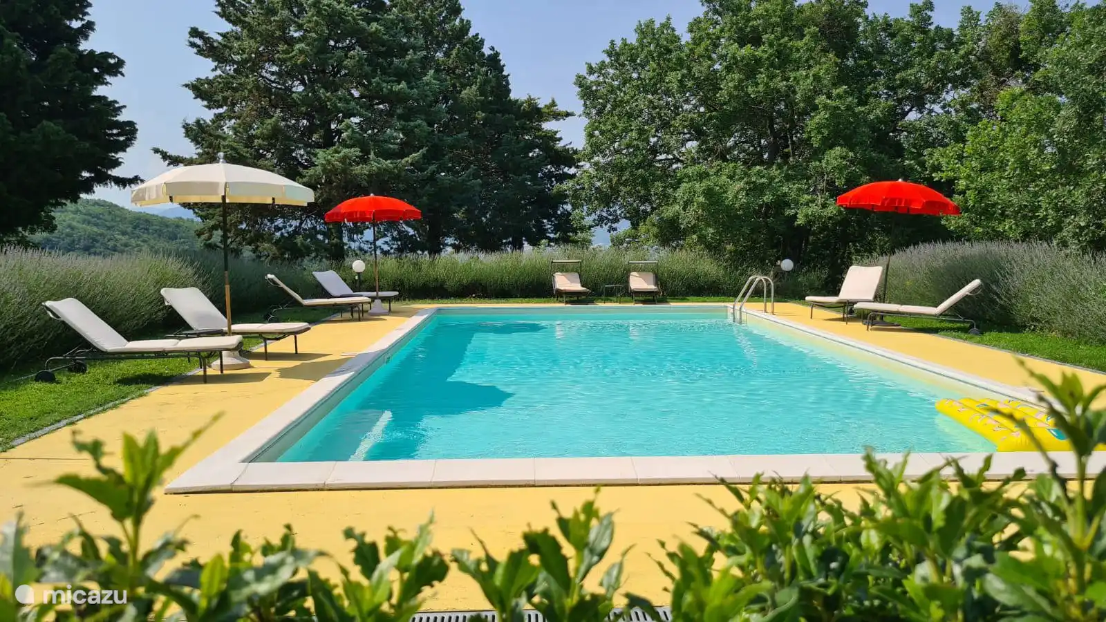 The swimming pool, 12 x 6 m