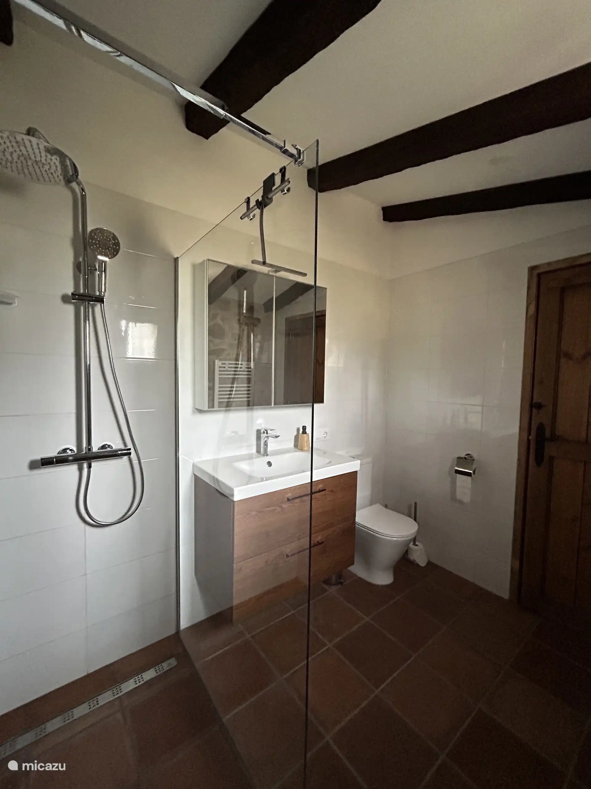 Salle de bain avec douche à l’italienne à effet pluie