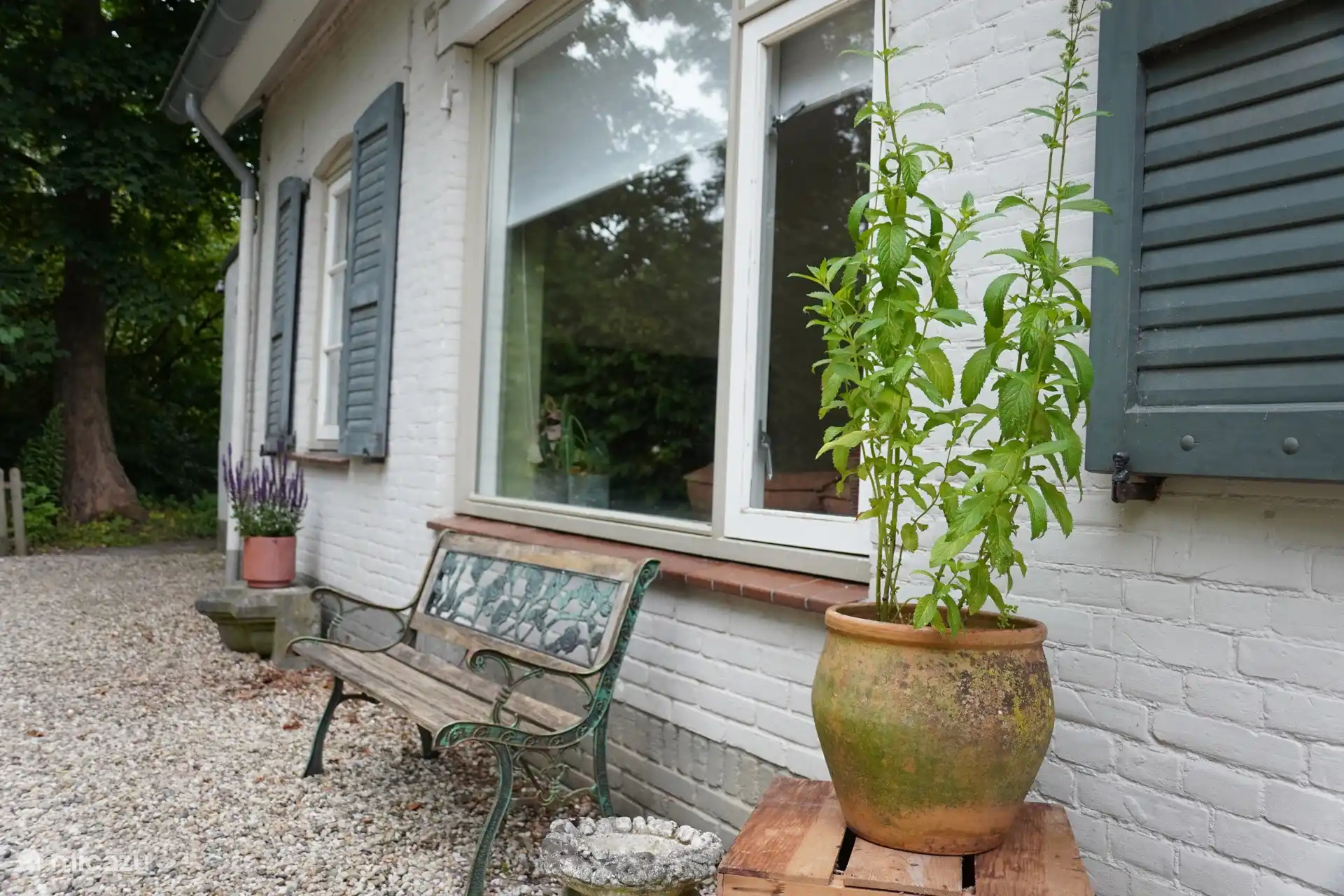 Verse munt aan de voorkant