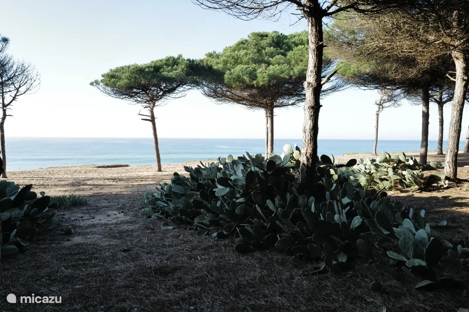 Cerca de las dunas a la playa 