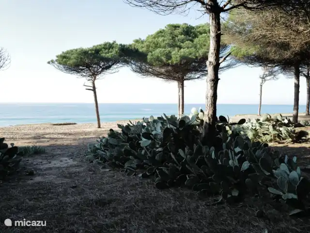 Domicílio Espuma do Tempo | Portugal, Algarve, Vale Do Lobo - villa Dunes à proximité de la plage
