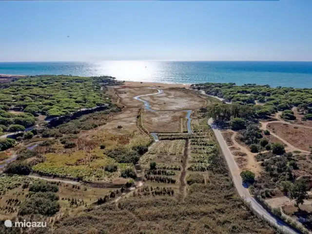 Domicílio Espuma do Tempo | Portugal, Algarve, Vale Do Lobo - villa Distance de la plage, complètement privé, aucun voisin