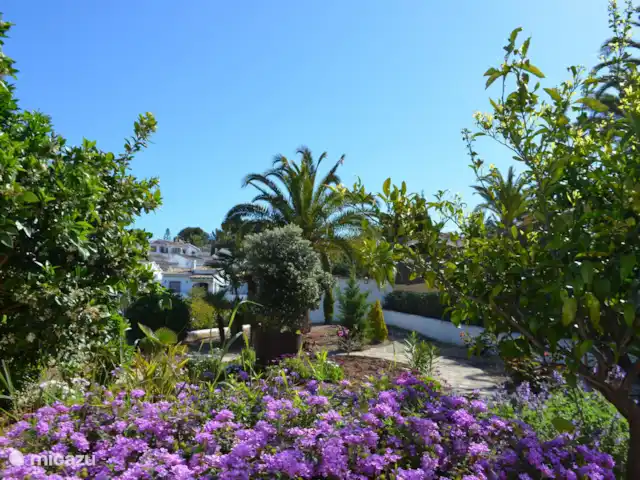 Casa La Paz | Espagne, Costa Blanca, Moraira - villa Entre les palmiers et sous le soleil espagnol.