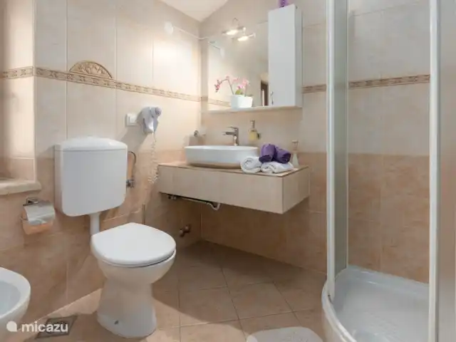 Villa Babici en Croacia, Istria, Kastelir-Labinci - villa baño