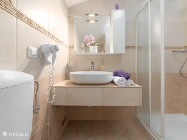 Villa Babici en Croacia, Istria, Kastelir-Labinci - villa baño
