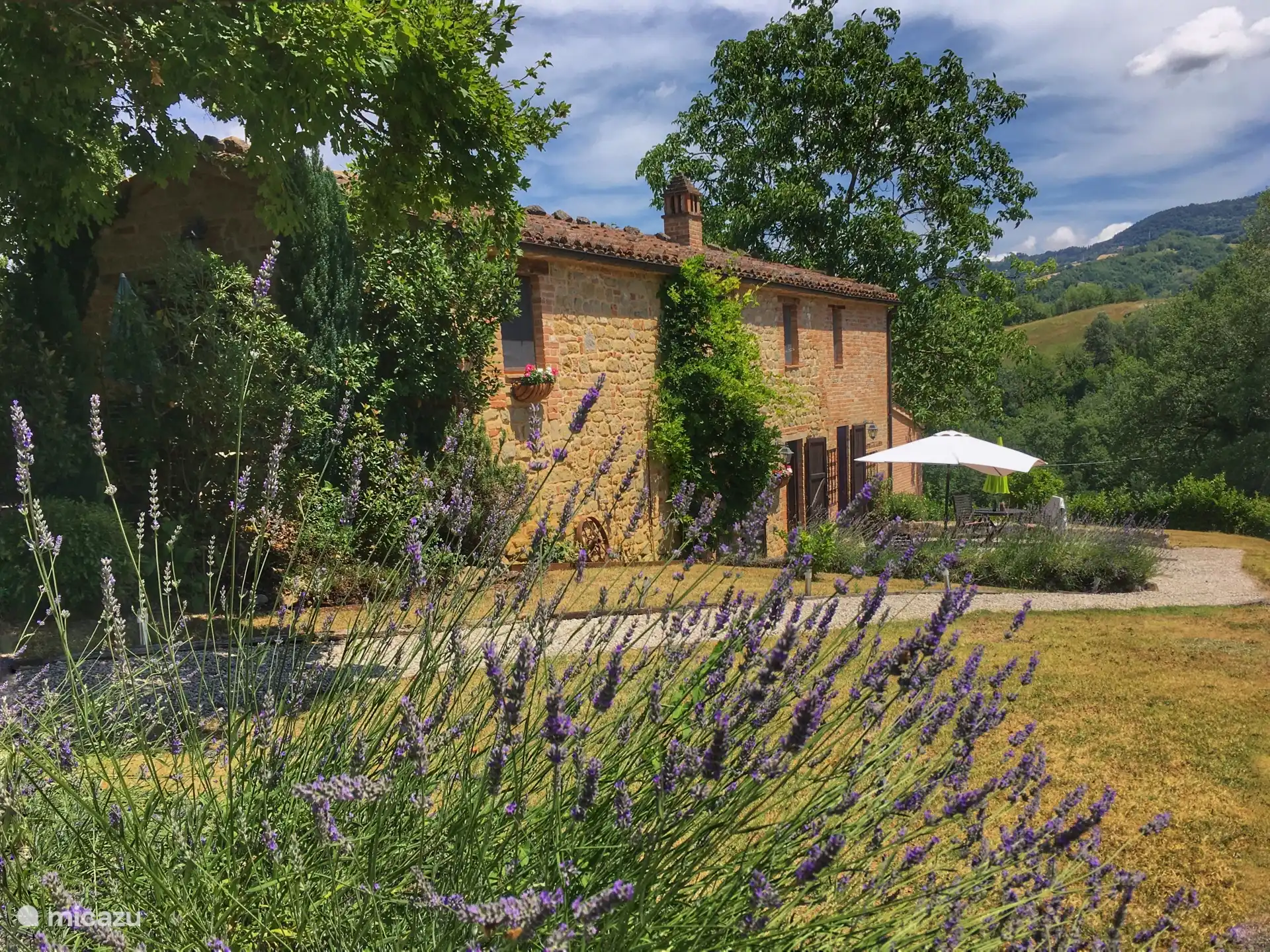 The farmhouse and garden