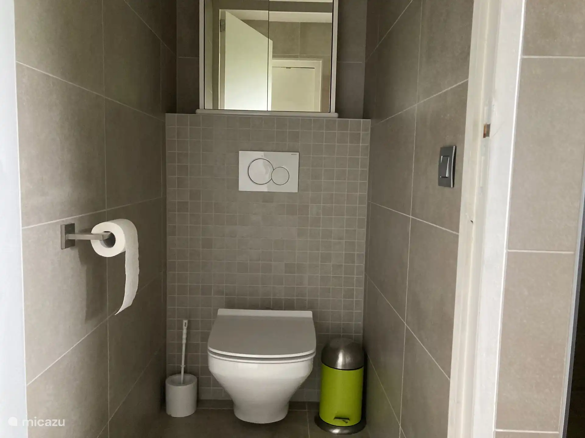apart toilet met softclose zitting en spiegelkast met reinigingsproducten