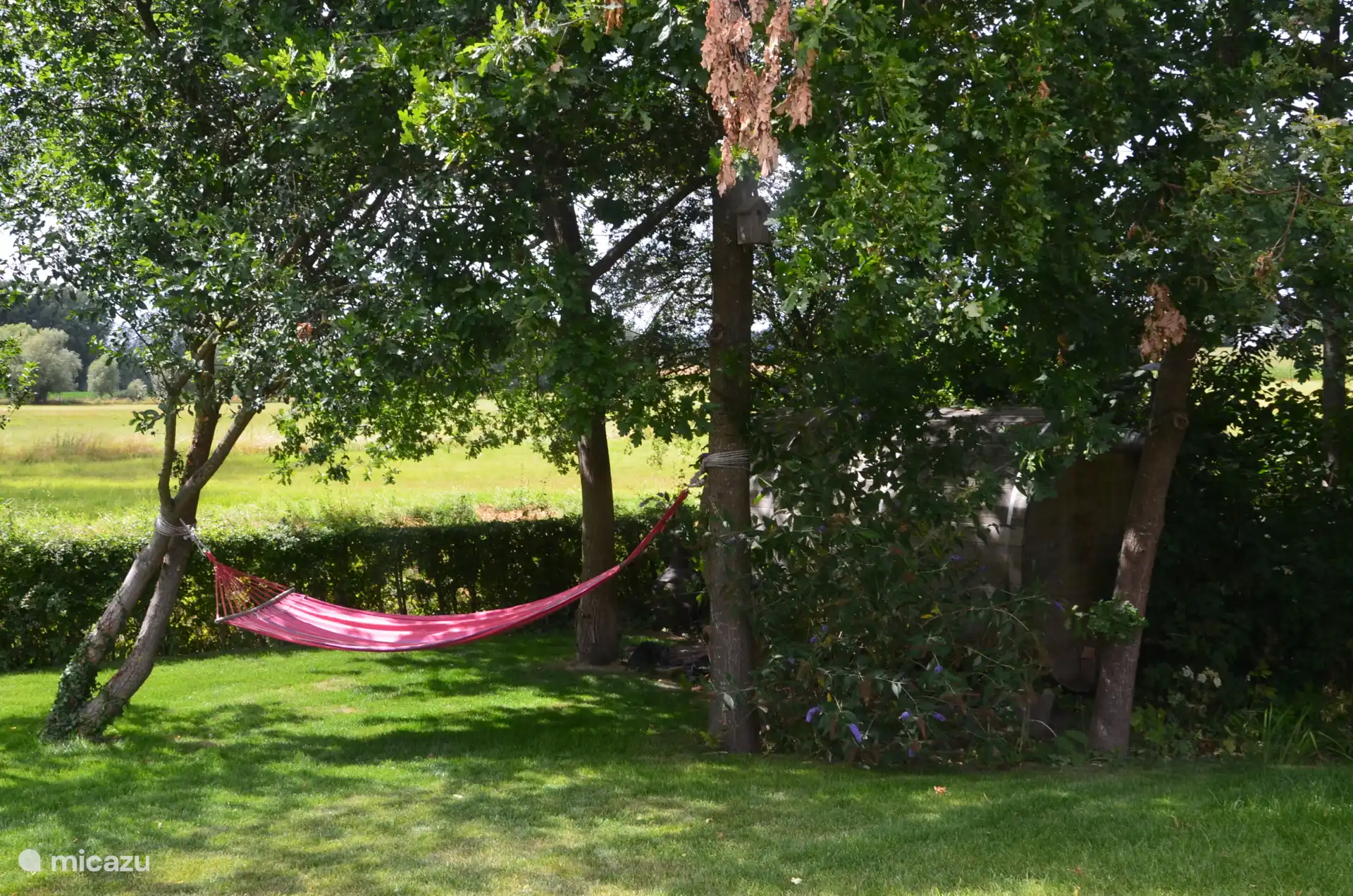 Hangmat om van het landschap en de vogels te genieten