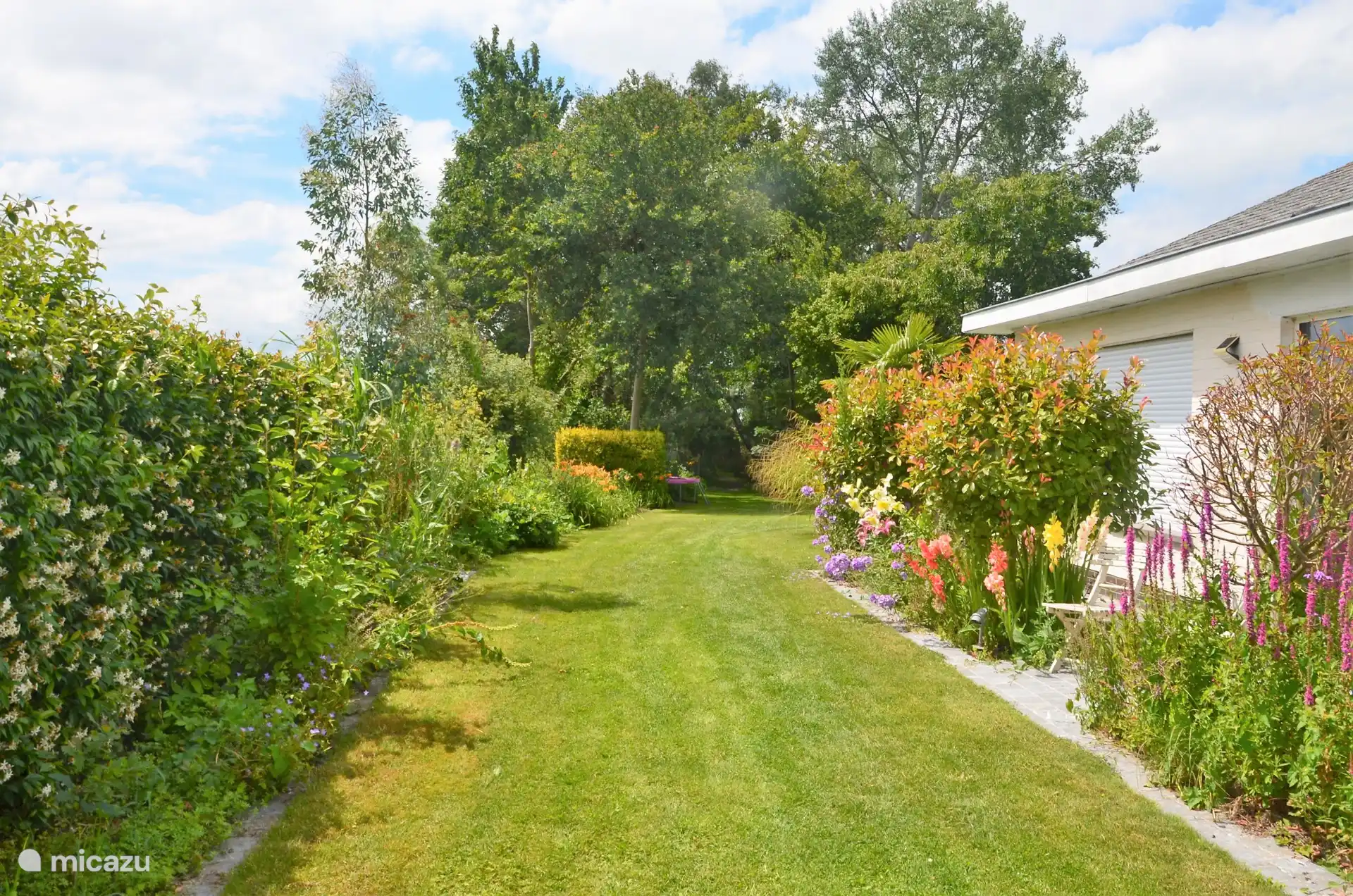 zicht naar klein bosje achteraan vanop de oprit