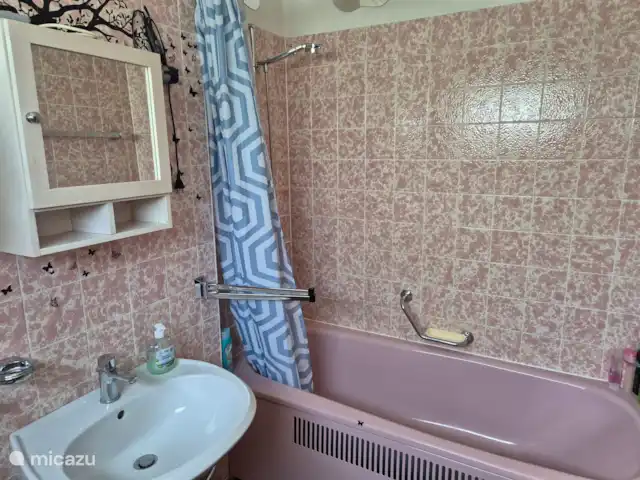 Eulenheim  | Allemagne, Eifel, Ohlenhard - maison de vacances Salle de bain avec baignoire, douche dans la baignoire. Lavabo. Toilette.