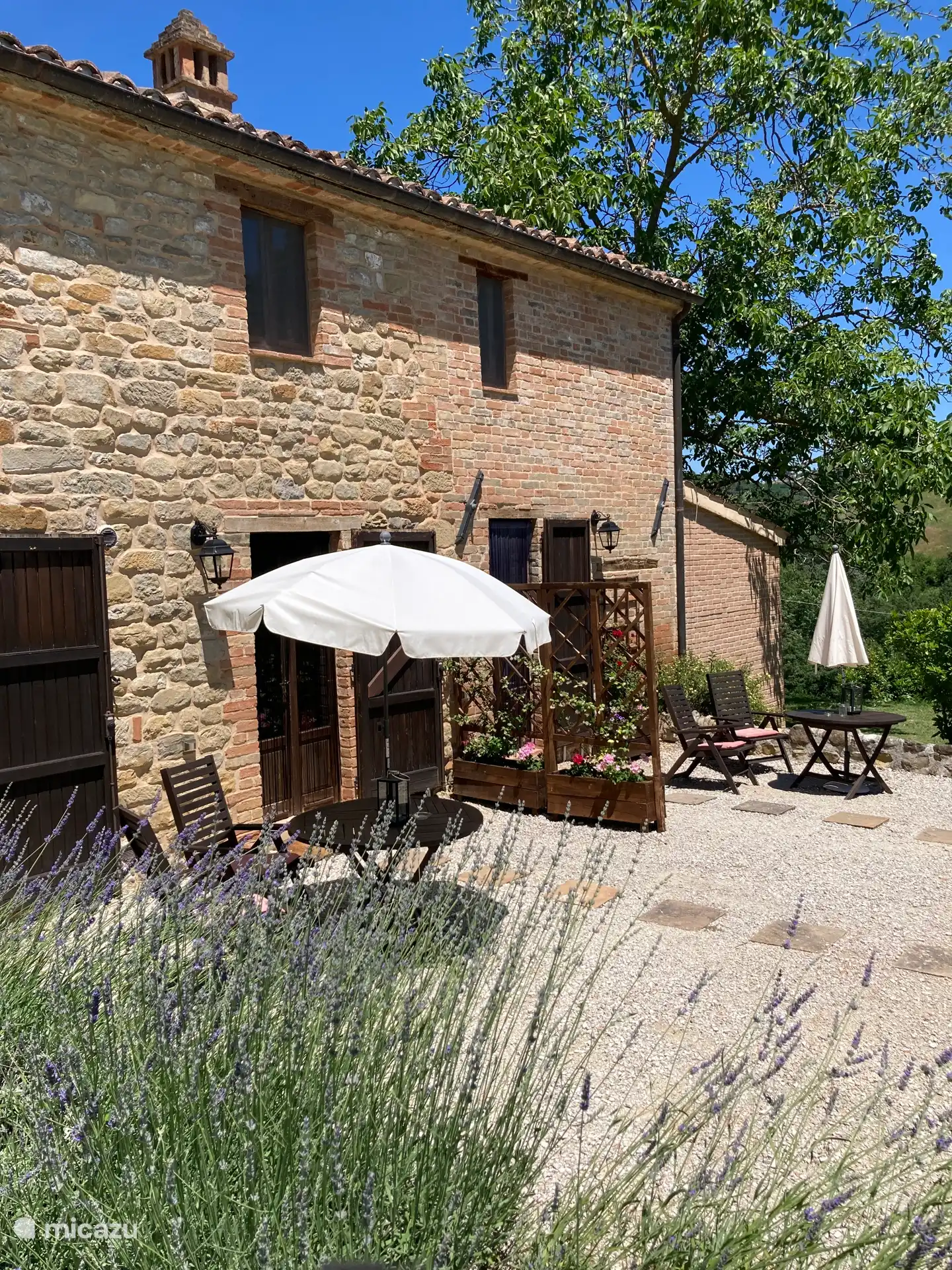 Ihr Appartement mit Blick auf den Garten