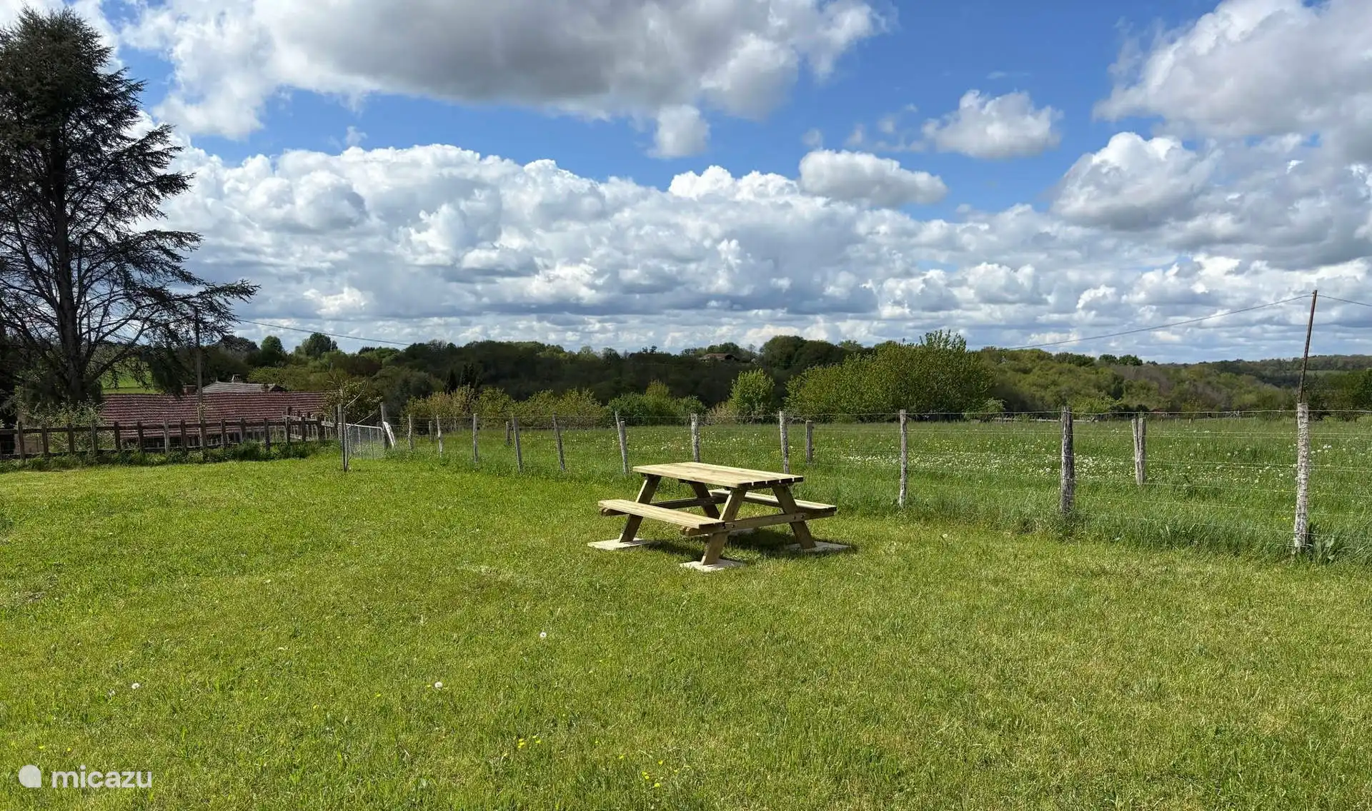 Picknick auf der Wiese