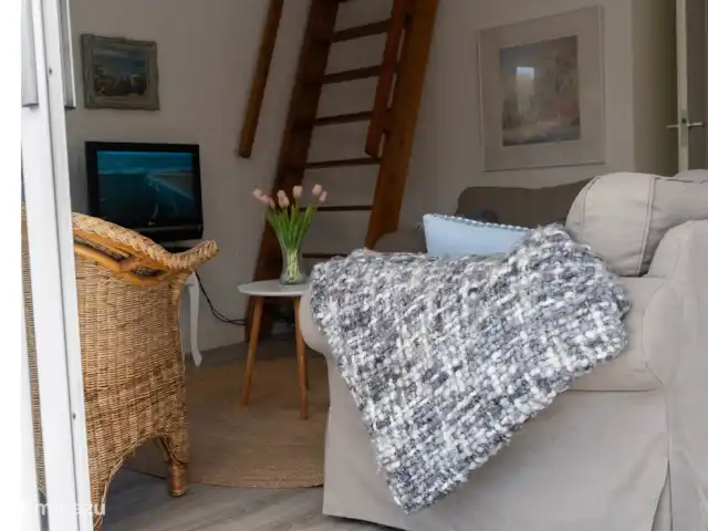 Mouette | Pays-Bas, Hollande du Nord, Egmond aan den Hoef - maison de vacances