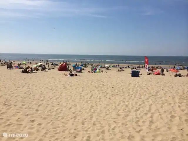 Mouette | Pays-Bas, Hollande du Nord, Egmond aan den Hoef - maison de vacances