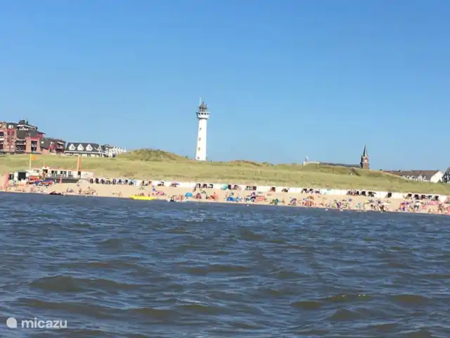 Mouette | Pays-Bas, Hollande du Nord, Egmond aan den Hoef - maison de vacances
