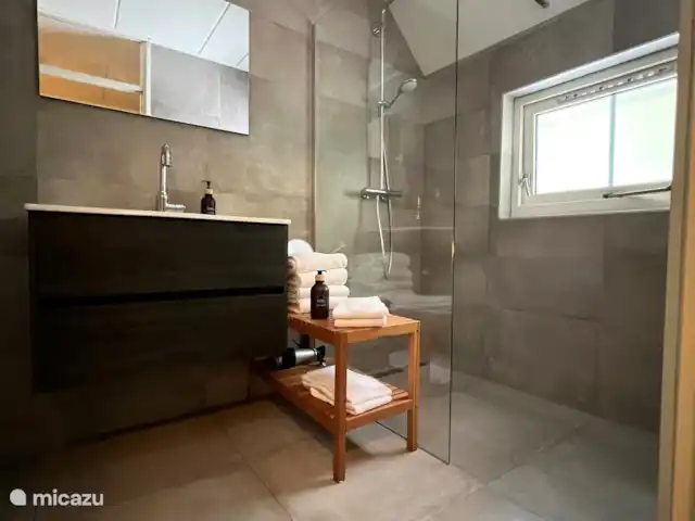 De Kievit - Midden in de Natuur! huren in Nederland, Overijssel, IJhorst - vakantiehuis moderne badkamer, handdoeken