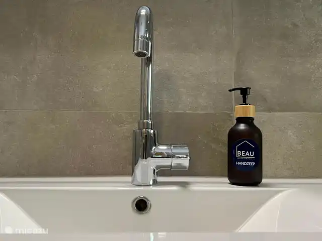 De Kievit - Midden in de Natuur! huren in Nederland, Overijssel, IJhorst - vakantiehuis Moderne badkamer, handzeep