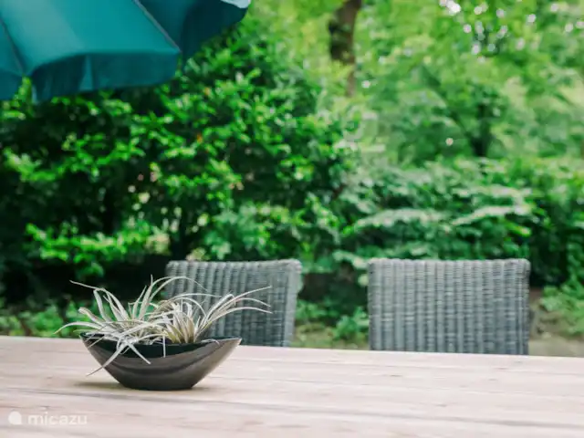 De Kievit - Midden in de Natuur! huren in Nederland, Overijssel, IJhorst - vakantiehuis rustig buiten zitten met veel privacy