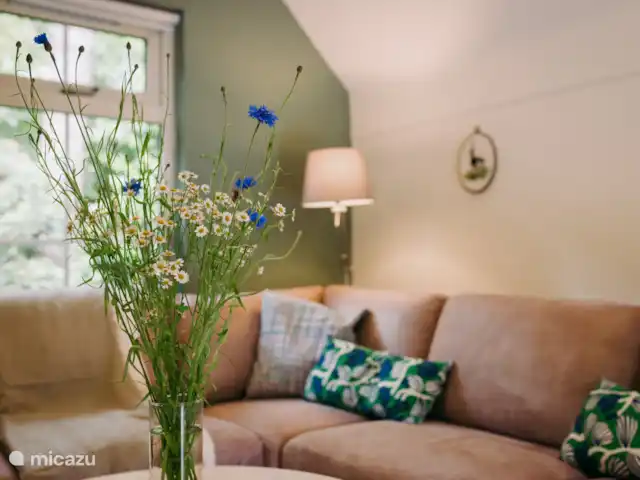 De Kievit - Midden in de Natuur! huren in Nederland, Overijssel, IJhorst - vakantiehuis Gezellige woonkamer