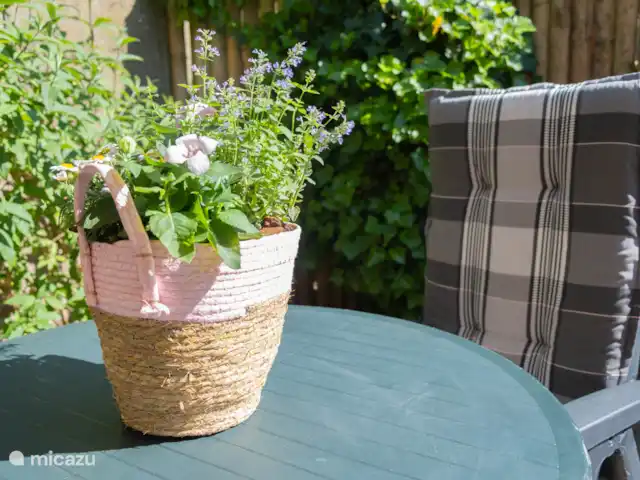 Óxido de Duinrust en Países Bajos, Holanda del Norte, Egmond aan Zee - casa vacacional