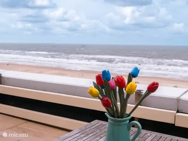 Nid de pie | Pays-Bas, Hollande du Nord, Egmond aan Zee - appartement