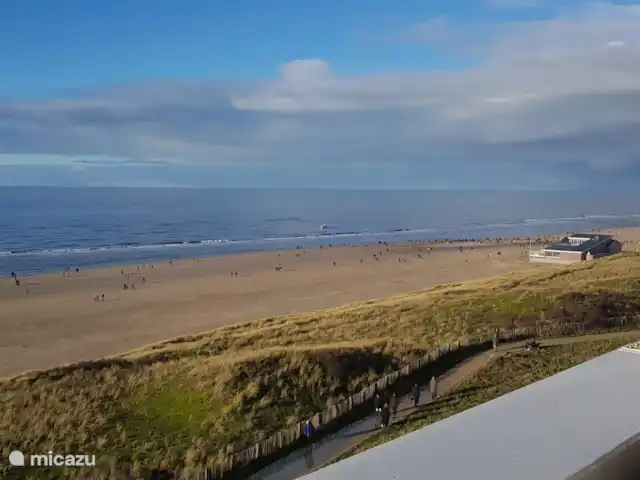 Nid de pie | Pays-Bas, Hollande du Nord, Egmond aan Zee - appartement