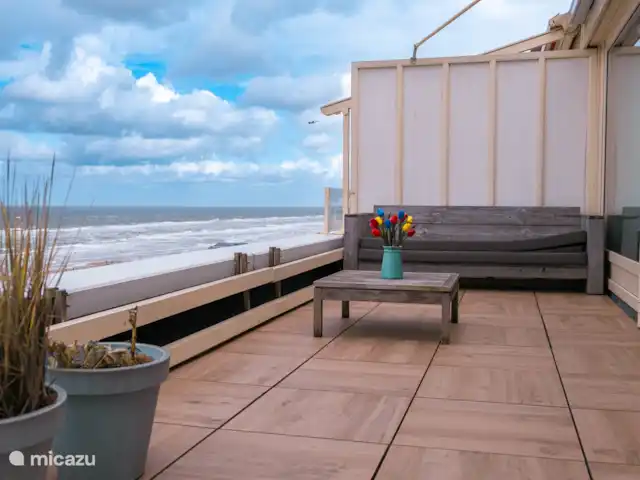Nid de pie | Pays-Bas, Hollande du Nord, Egmond aan Zee - appartement