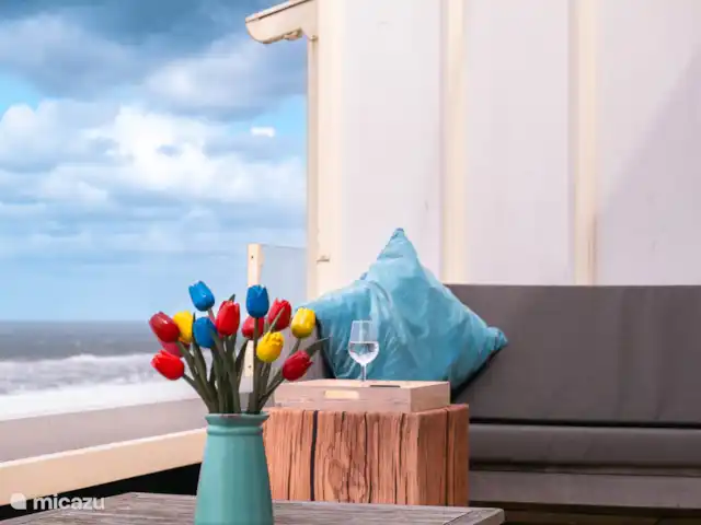 Nid de pie | Pays-Bas, Hollande du Nord, Egmond aan Zee - appartement