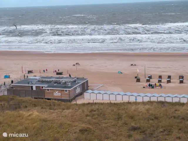 Nid de pie | Pays-Bas, Hollande du Nord, Egmond aan Zee - appartement