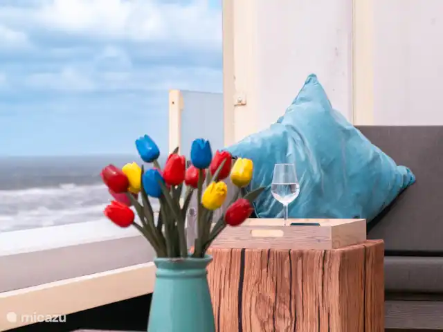 Nid de pie | Pays-Bas, Hollande du Nord, Egmond aan Zee - appartement