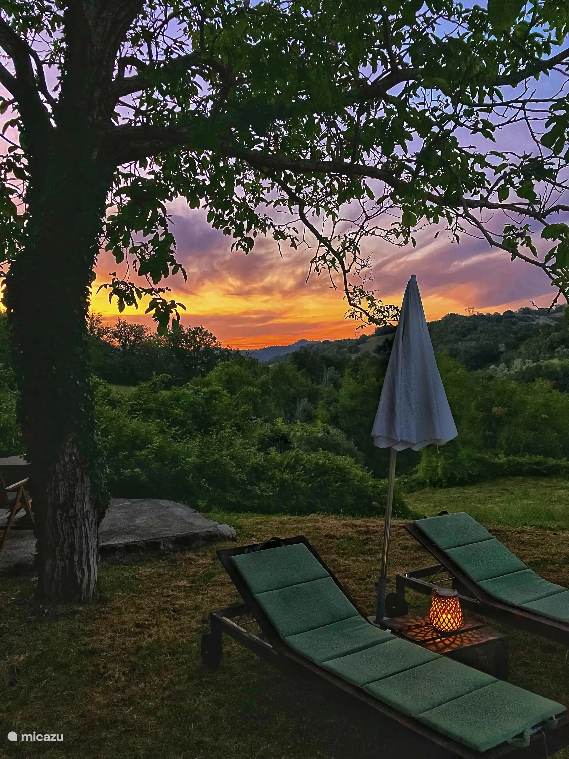 Contempla el hermoso cielo nocturno desde tu terraza privada. 