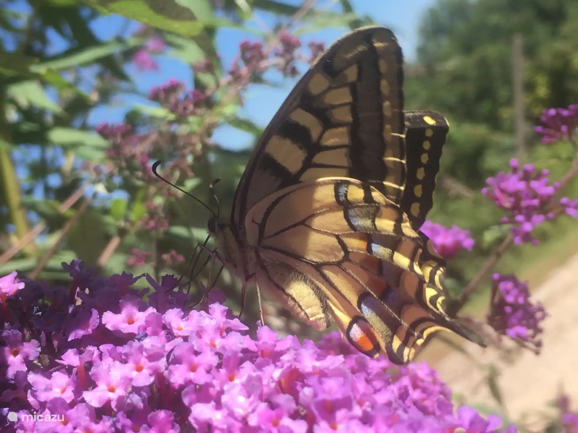 Naturaleza por todas partes