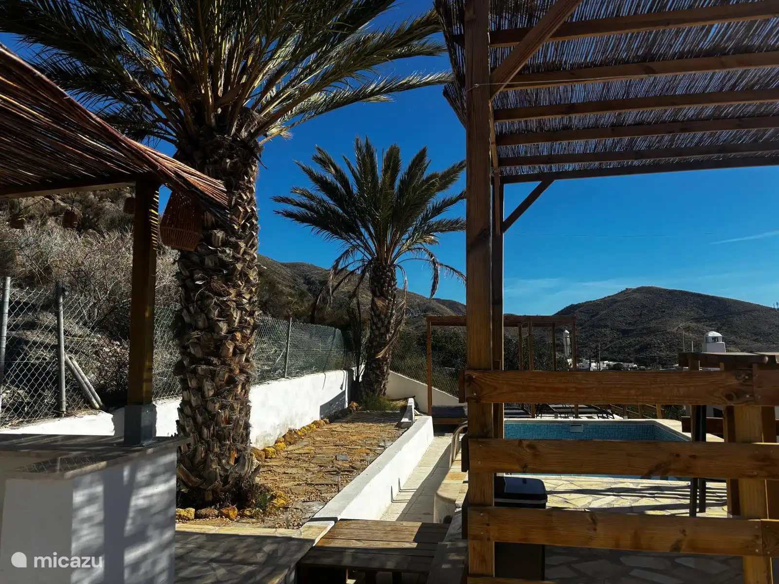 Die Palmen im Garten.