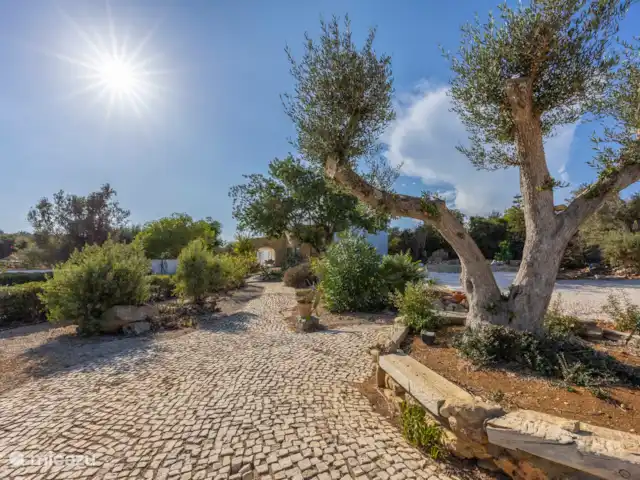 Casa da Paz - Parfait pour les groupes | Portugal, Algarve, Algoz - villa