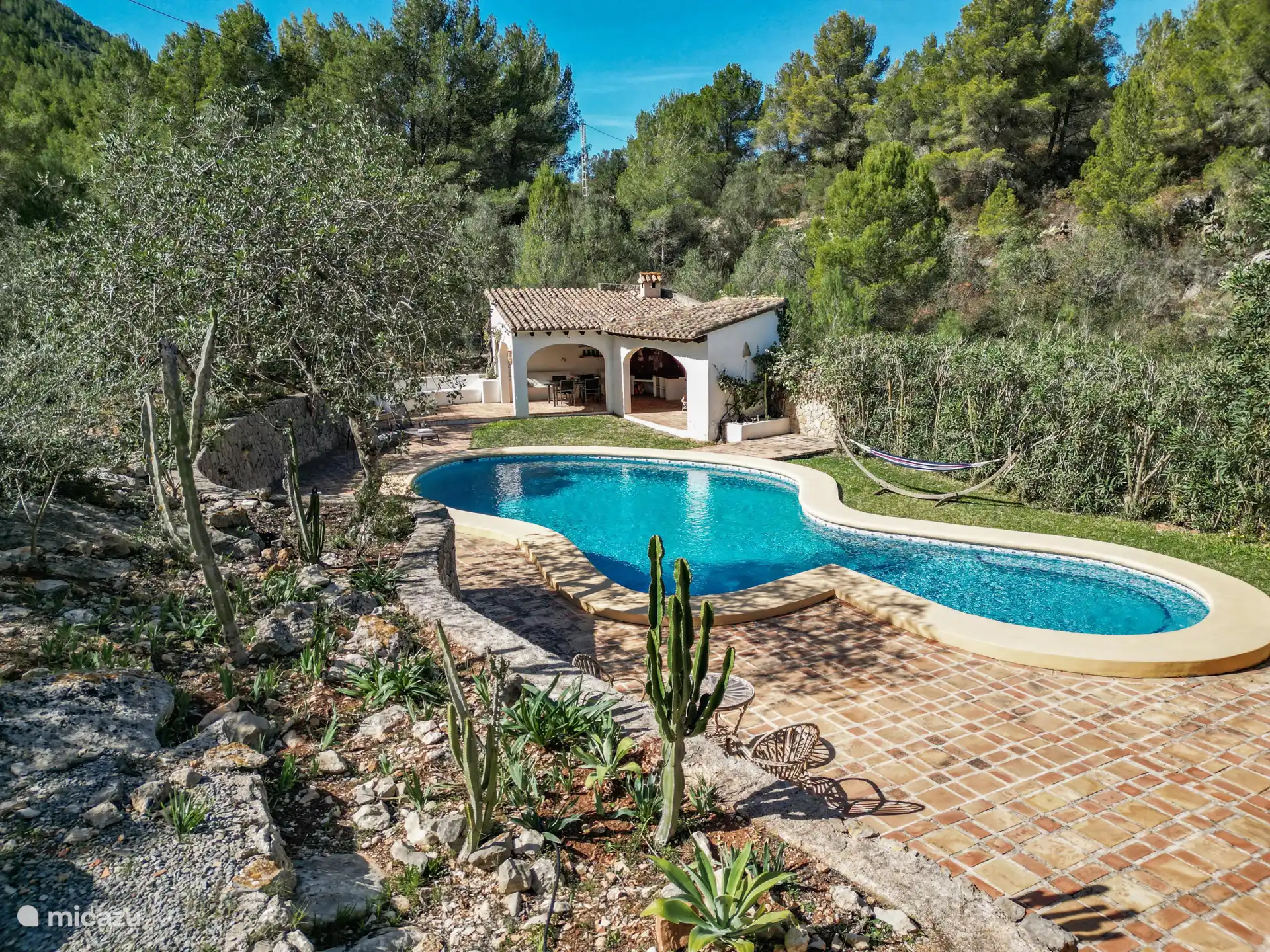 Complètement entouré de verdure.