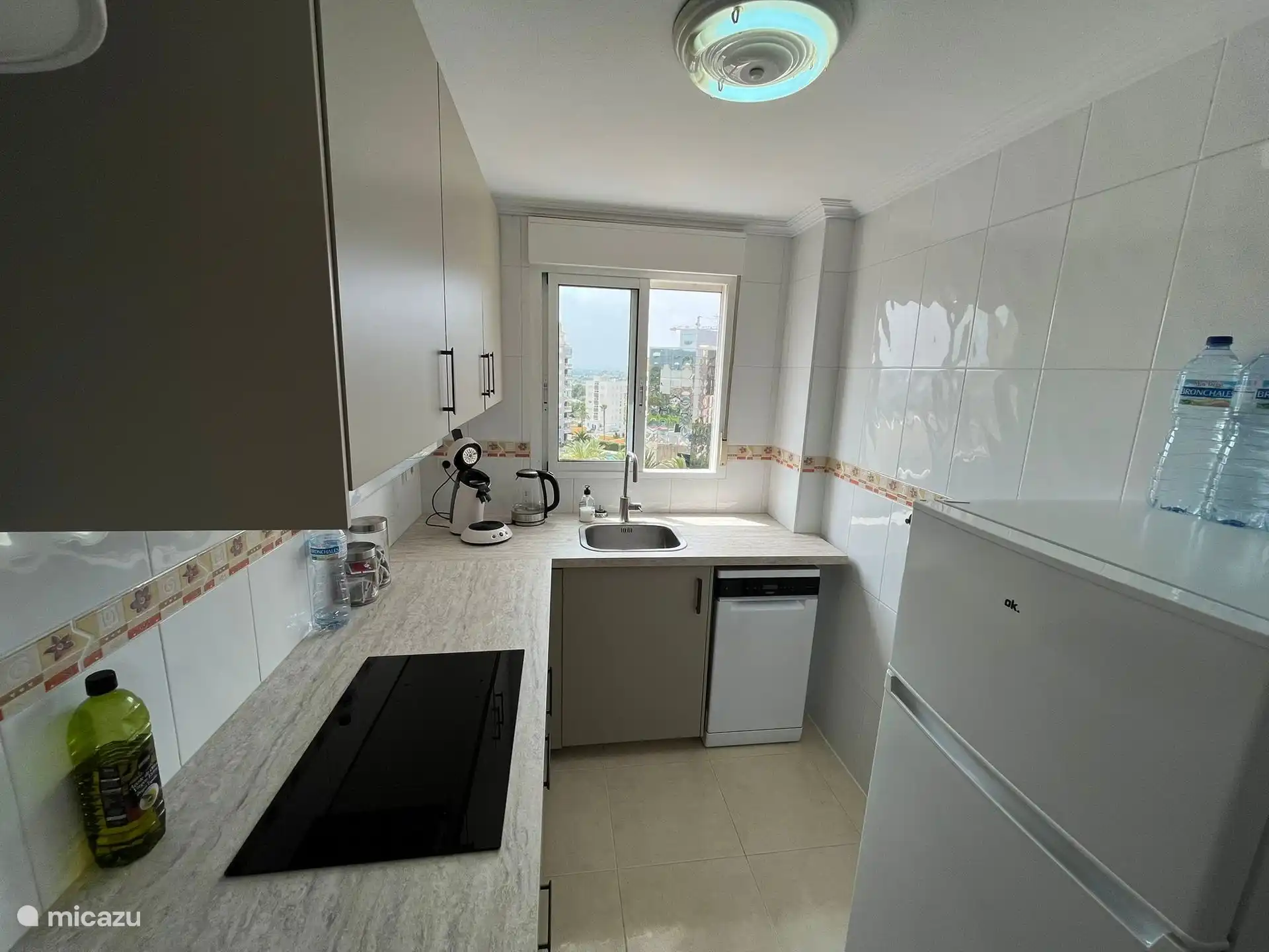 Cuisine avec lave-vaisselle, réfrigérateur avec congélateur, plaque à induction, cafetière et bouilloire