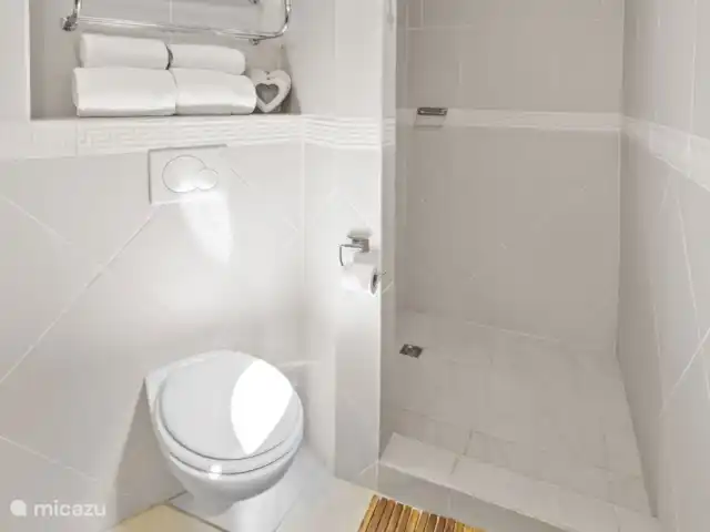 La Elegancia Ocean front pearl #6 huren in Bonaire, Bonaire, Kralendijk - appartement schone badkamers